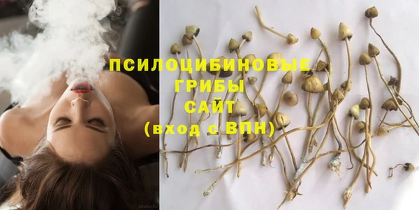 ECSTASY Дмитриев