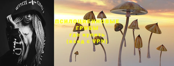 PSILOCYBIN Дмитров