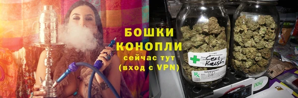 ECSTASY Дмитриев