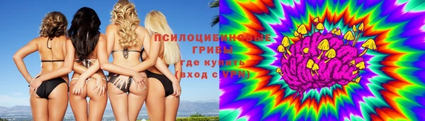ECSTASY Дмитриев