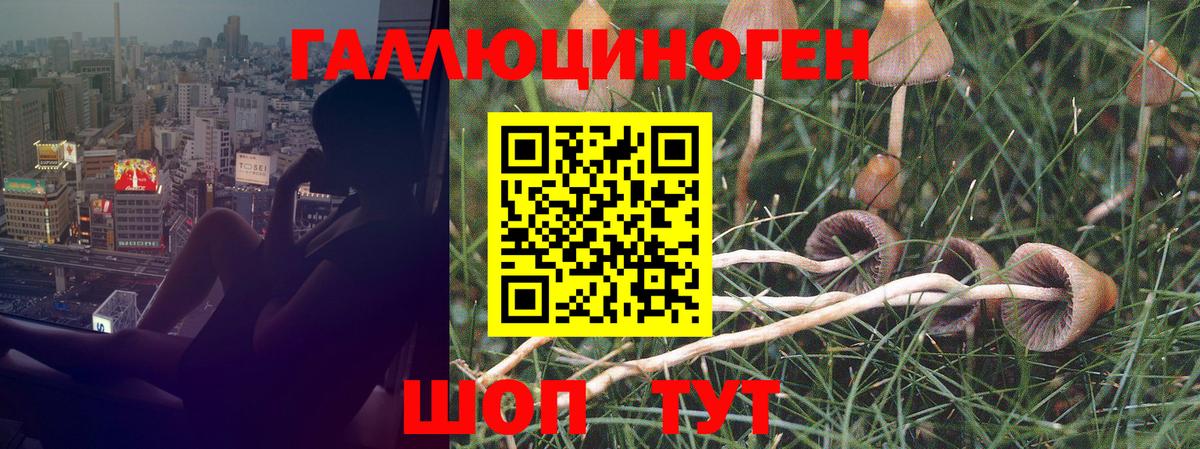Псилоцибиновые грибы мухоморы  Галлюциногенные грибы мухоморы  Барнаул  Вход с VPN 