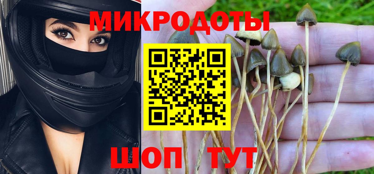 Псилоцибиновые грибы Psilocybine cubensis  Барнаул  Галлюциногенные грибы MAGIC MUSHROOMS 